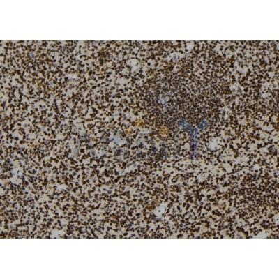 Валидация Affinity DF12317 - 6709