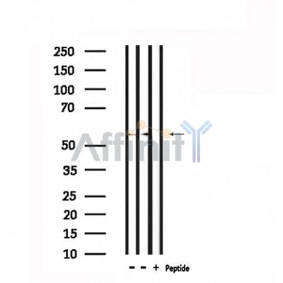 Валидация Affinity DF6351 - 17697