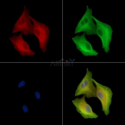 Валидация Affinity DF15952 - 12472