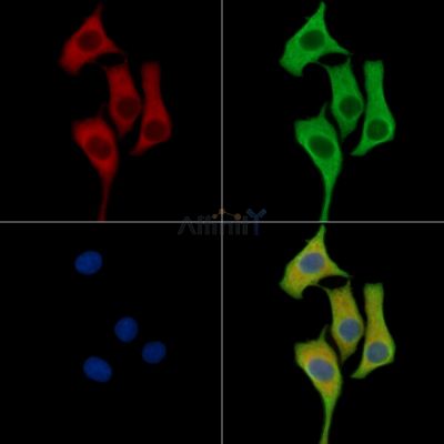 Валидация Affinity DF15668 - 12118