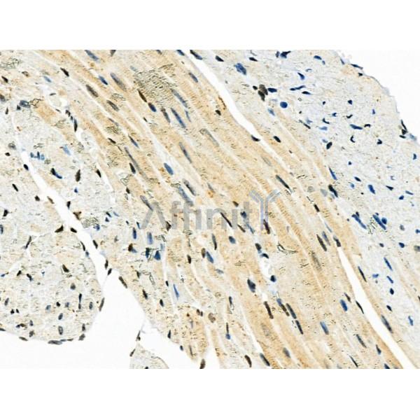 Валидация Affinity DF4365 - 15830