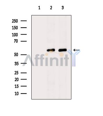 Валидация Affinity DF4603 - 16218