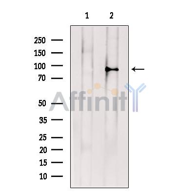 Валидация Affinity DF13599 - 9089