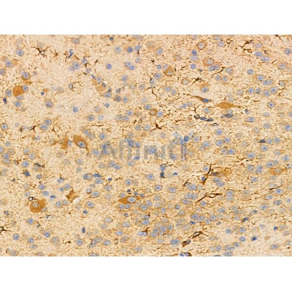 Валидация Affinity DF3500 - 14421