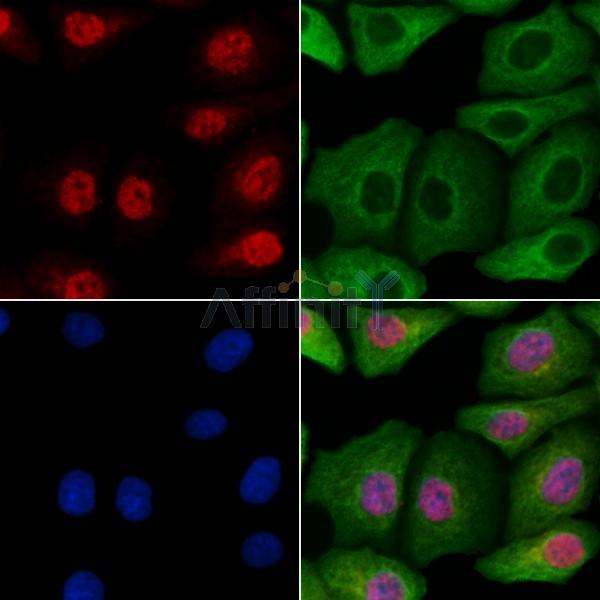 Валидация Affinity DF10061 - 5534