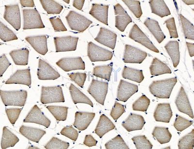 Валидация Affinity DF15921 - 12436