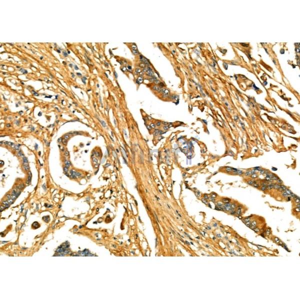 Валидация Affinity DF6746 - 18294