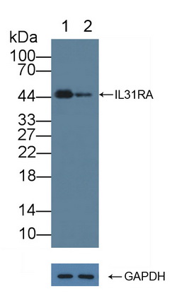 12167