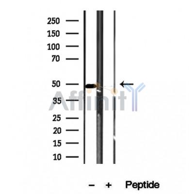 Валидация Affinity DF12243 - 6554