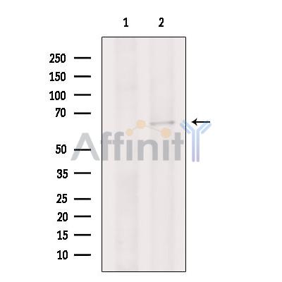 Валидация Affinity DF6779 - 18350
