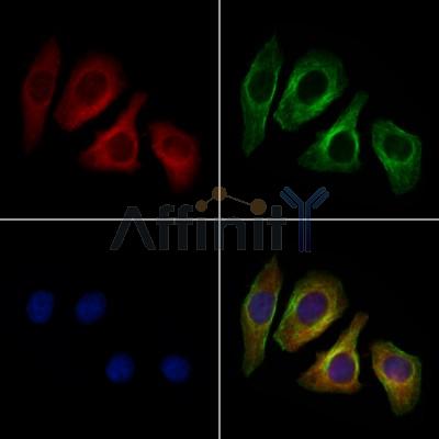 Валидация Affinity DF6710 - 18228