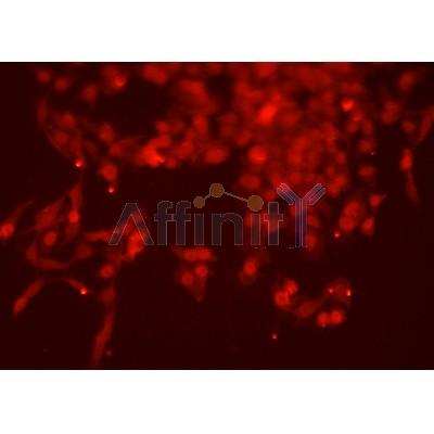 Валидация Affinity DF7559 - 19311