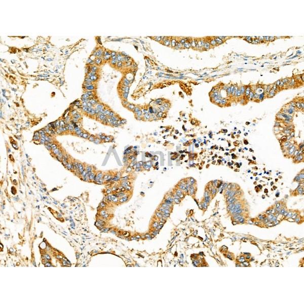 Валидация Affinity DF4804 - 16545