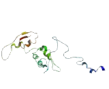 G Protein Coupled Receptor 172A (GPR172A)