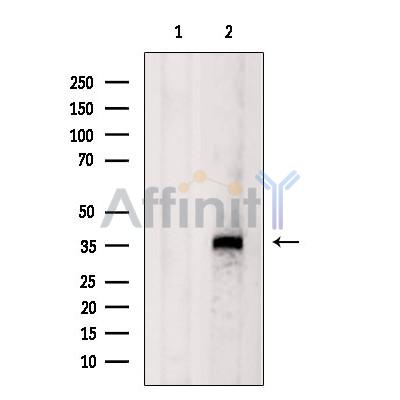 Валидация Affinity DF7325 - 19018