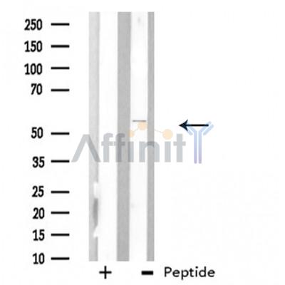 Валидация Affinity DF3748 - 14819