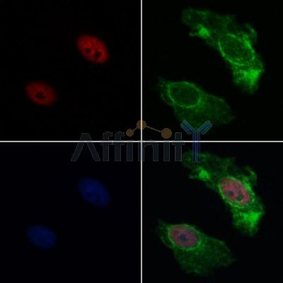 Валидация Affinity AF5261 - 2772