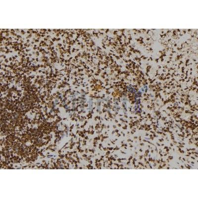 Валидация Affinity DF6189 - 17441