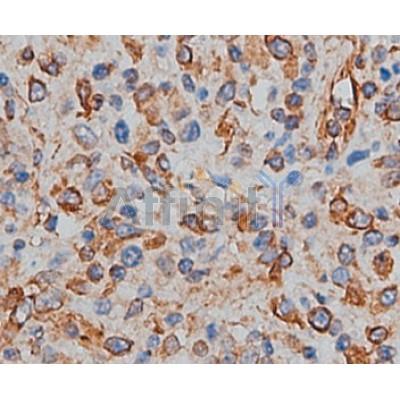 Валидация Affinity DF8267 - 20111