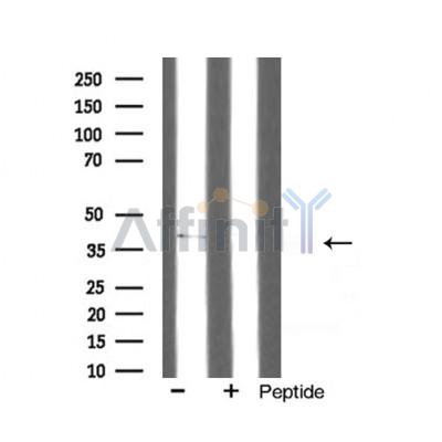 Валидация Affinity AF5316 - 2876