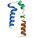 Gamma-Aminobutyric Acid A Receptor Alpha 2 (gABRa2) Gamma-Aminobutyric Acid A Receptor Alpha 2 (gABRa2)