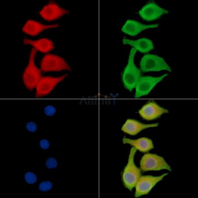 Валидация Affinity DF14380 - 10305