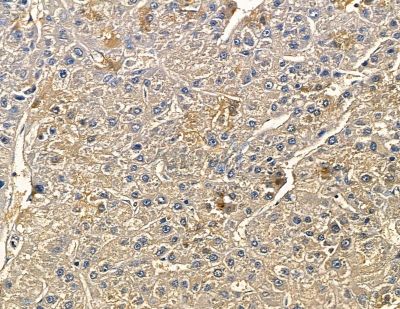 Валидация Affinity DF3592 - 14553