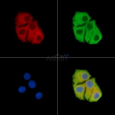 Валидация Affinity DF14708 - 10773