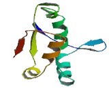 Solute Carrier Family 25, Member 45 (SLC25A45)