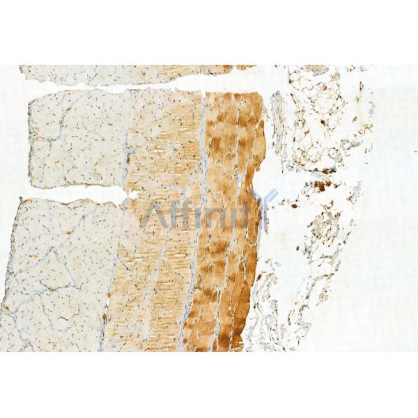 Валидация Affinity DF12111 - 6243