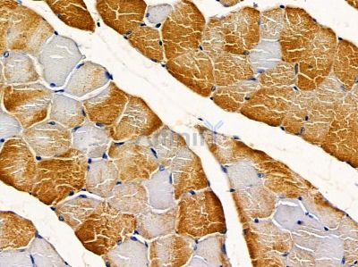 Валидация Affinity DF3643 - 14625