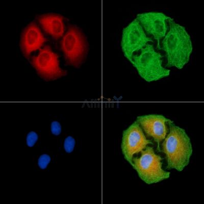 Валидация Affinity DF9631 - 22358