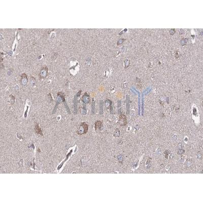 Валидация Affinity AF5196 - 2644