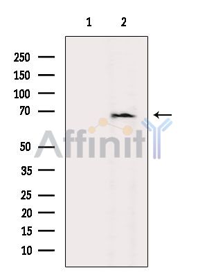 Валидация Affinity DF6776 - 18347