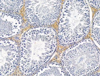 Валидация Affinity DF15096 - 11341