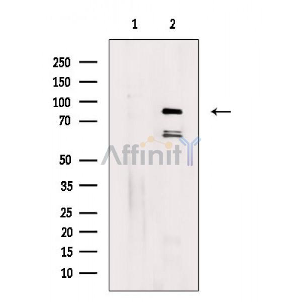 Валидация Affinity DF3823 - 14948