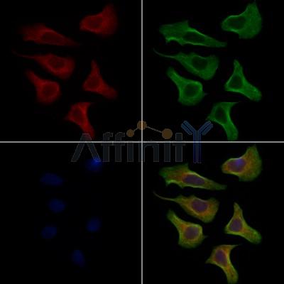 Валидация Affinity AF7885 - 4628