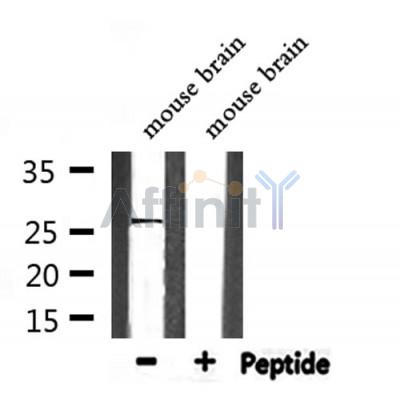 Валидация Affinity DF7342 - 19049