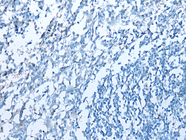 Валидация AssayVector ARM1480(1400)