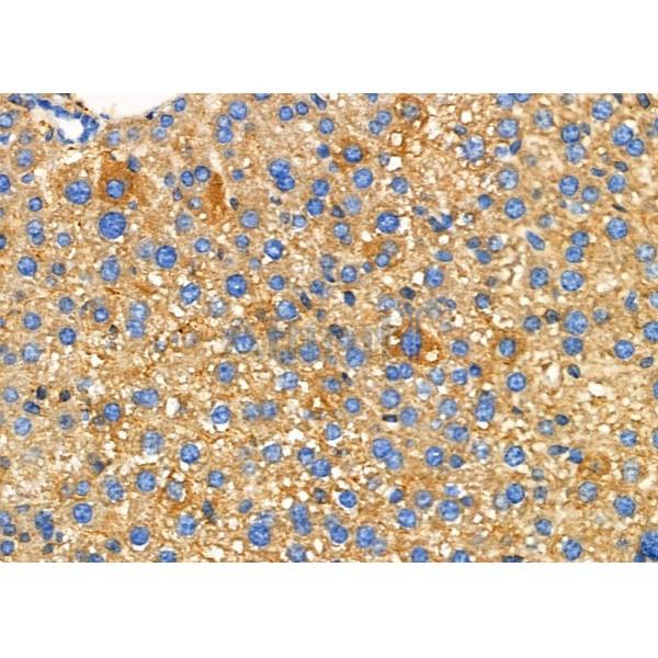 Валидация Affinity DF6394 - 17757