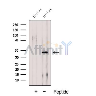 Валидация Affinity DF12608 - 7234