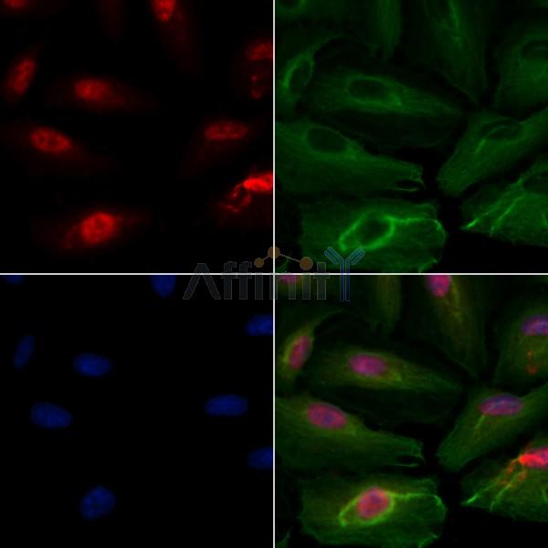 Валидация Affinity DF9978 - 23019