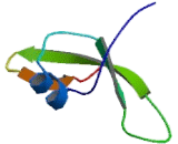 Contactin Associated Protein 1 (CNTNAP1)