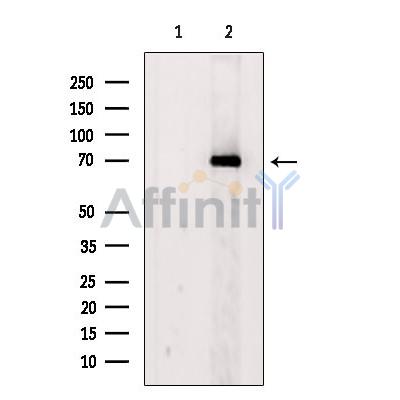 Валидация Affinity DF6510 - 17917