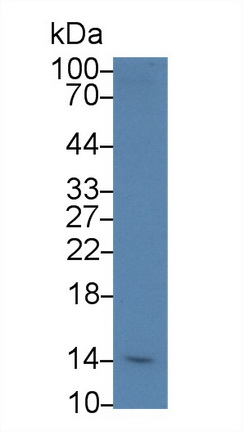 9372