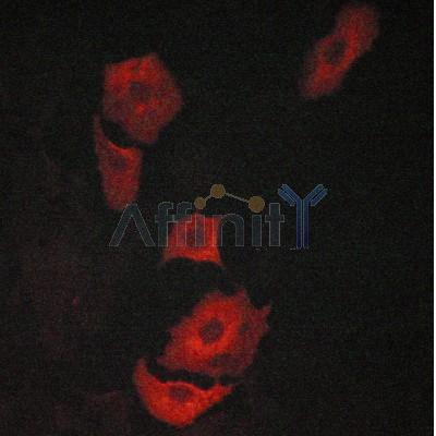 Валидация Affinity AF7012 - 4154