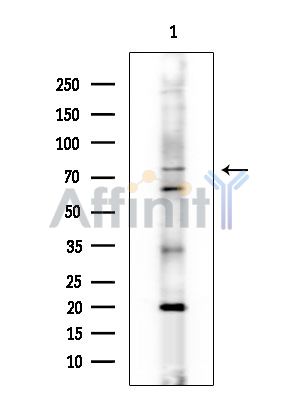 Валидация Affinity AF3771 - 2042