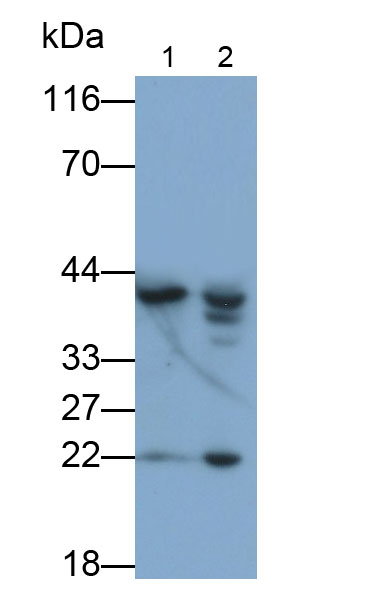 31830