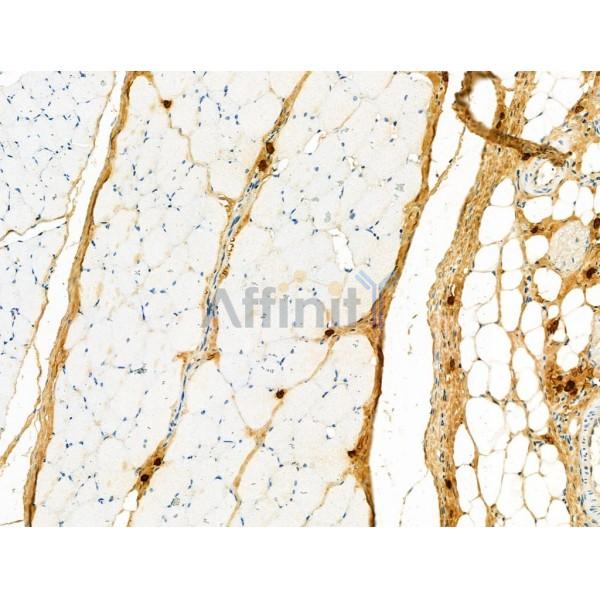 Валидация Affinity DF4869 - 16652