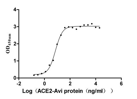 Функциональный ИФА: связывание SARS-CoV-2-S1-RBD (E484K) с человеческим ACE2